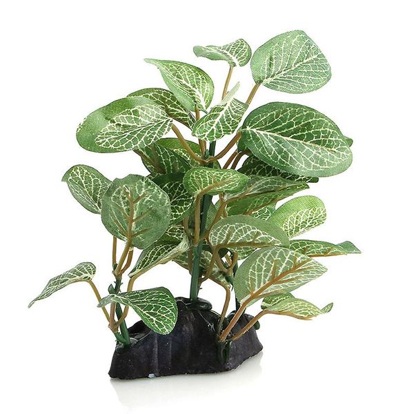 decorations water plant plastic tree ornament decoration aquarium artificial fish tank drop
decorations water plant plastic tree ornament decoration aquarium artificial fish tank drop
