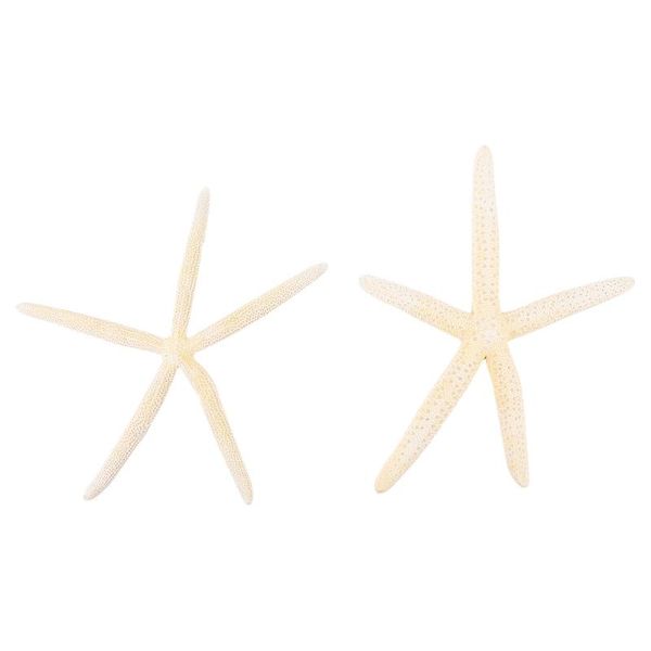 novelty items 2pcs decorative natural knobby mini beach sea stars for wedding seashell crafts
novelty items 2pcs decorative natural knobby mini beach sea stars for wedding seashell crafts