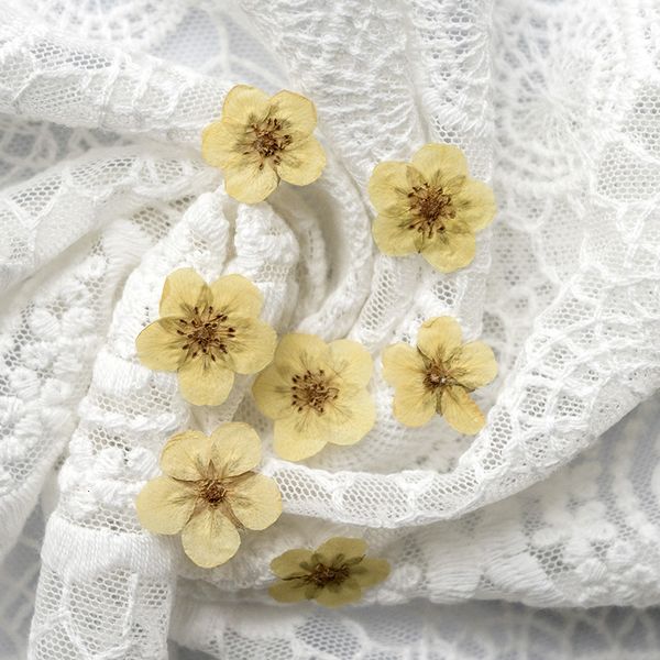 ranunculus dry flower embossing children's manual bookmark glue dropping mobile phone case material diy plant specimen festival gift de
ranunculus dry flower embossing children's manual bookmark glue dropping mobile phone case material diy plant specimen festival gift de