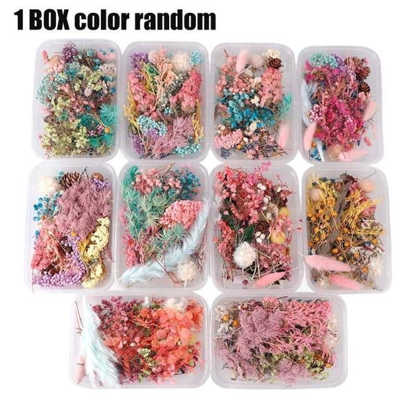 random mix color flower pressed dried natural leaves jewelry diy resin craft materials bookmarks epoxy handmade b7u6 decorative flowers & wr
random mix color flower pressed dried natural leaves jewelry diy resin craft materials bookmarks epoxy handmade b7u6 decorative flowers & wr