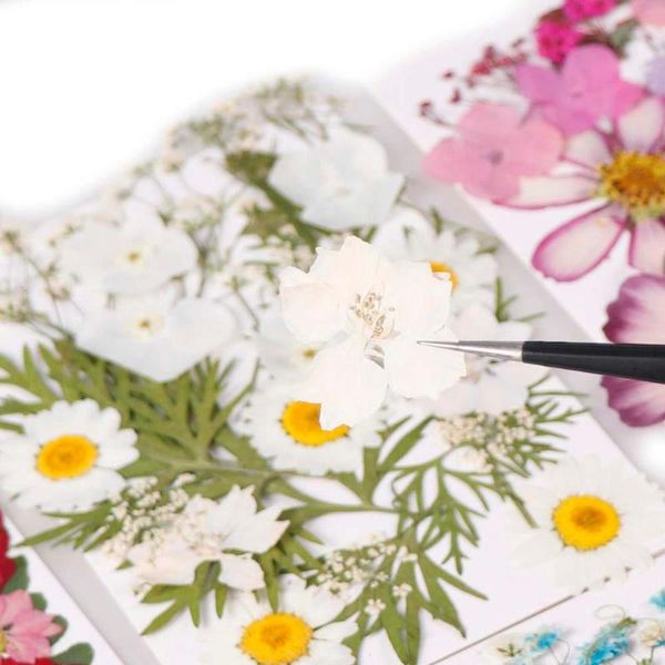 real pressed dried flowers floral for diy epoxy resin jewelry arts crafts decorative & wreaths
real pressed dried flowers floral for diy epoxy resin jewelry arts crafts decorative & wreaths