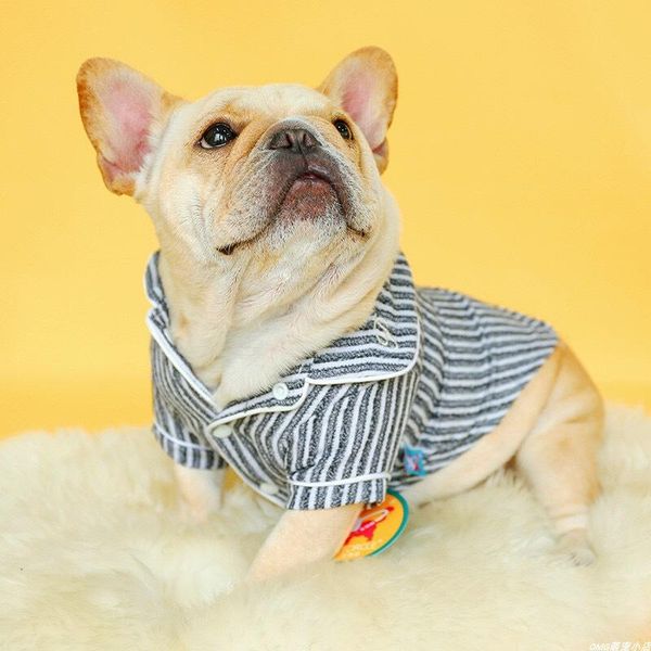 dog apparel pet costume kirkie clothes spring and summer wear thin striped cat shirts
dog apparel pet costume kirkie clothes spring and summer wear thin striped cat shirts