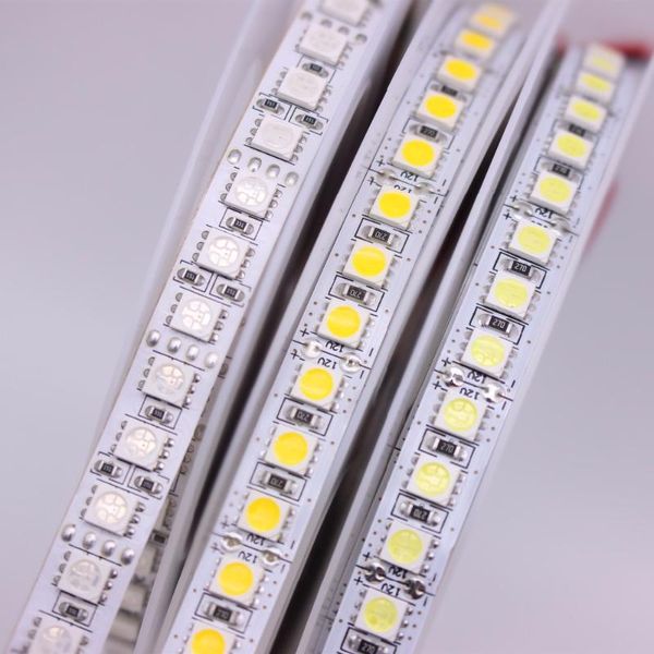 strip dc12v 24v 120leds/m flexible tape lighting rgb /warm white/white high brightness strips led
strip dc12v 24v 120leds/m flexible tape lighting rgb /warm white/white high brightness strips led