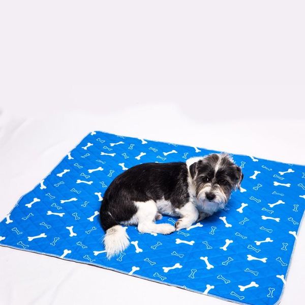 kennels & pens pet durable tough dog crate pad 85 100cm dark green large washable, and waterproof beds s m l 1
kennels & pens pet durable tough dog crate pad 85 100cm dark green large washable, and waterproof beds s m l 1