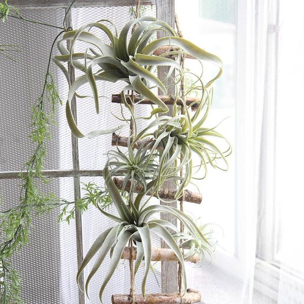 decorative flowers & wreaths artificial plant grass simulation fruit home office plastic fake decoration ornament
decorative flowers & wreaths artificial plant grass simulation fruit home office plastic fake decoration ornament