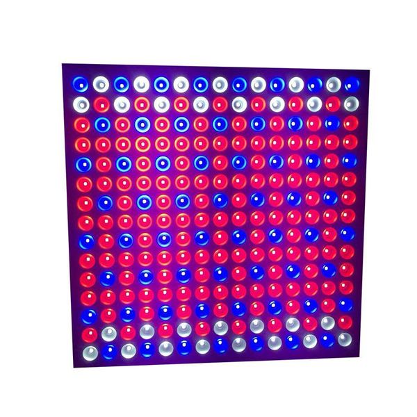45w 225leds plant led cob full spectrum grow light lamp for greenhouse indoor plants vegetable flower,cxb3590 growing lights
45w 225leds plant led cob full spectrum grow light lamp for greenhouse indoor plants vegetable flower,cxb3590 growing lights
