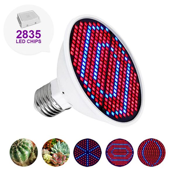 grow lights led light growth e27 phytolamp for plant lamp full spectrum indoor lighting hydroponic tent bulb
grow lights led light growth e27 phytolamp for plant lamp full spectrum indoor lighting hydroponic tent bulb