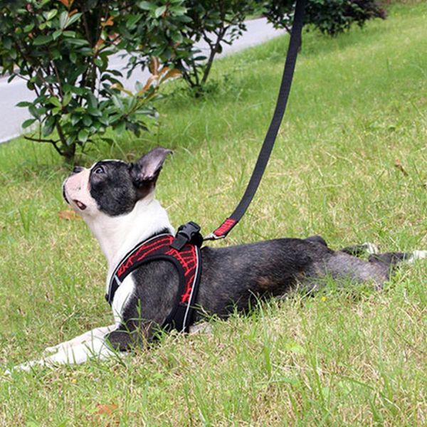 personalized dog harness reflective breathable adjustable pet for small large vest travel portable supplies collars & leashes
personalized dog harness reflective breathable adjustable pet for small large vest travel portable supplies collars & leashes