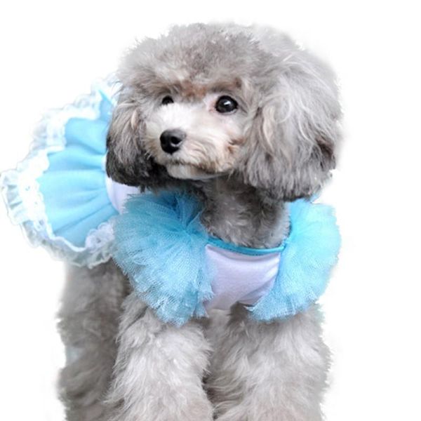 dog apparel summer puppy dress skirt puff sleeves evening dresses for small dogs princess costumes
dog apparel summer puppy dress skirt puff sleeves evening dresses for small dogs princess costumes