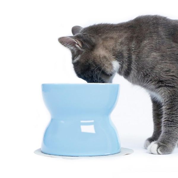 cat bowls & feeders pet supplies for cats bolw feeding water protection cervical bowl ceramic dual purpose
cat bowls & feeders pet supplies for cats bolw feeding water protection cervical bowl ceramic dual purpose