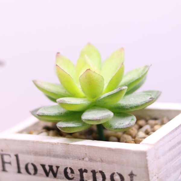 decorative flowers & wreaths artificial flower succulent plants floral arrangement accessories fake home garden wedding party decoration bon
decorative flowers & wreaths artificial flower succulent plants floral arrangement accessories fake home garden wedding party decoration bon