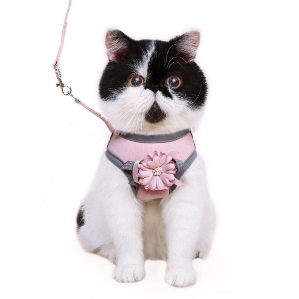 dog collars & leashes pet traction rope walking cat outdoor pink soft kitten harness safety chain collar luxury pets acessorios 60qy
dog collars & leashes pet traction rope walking cat outdoor pink soft kitten harness safety chain collar luxury pets acessorios 60qy
