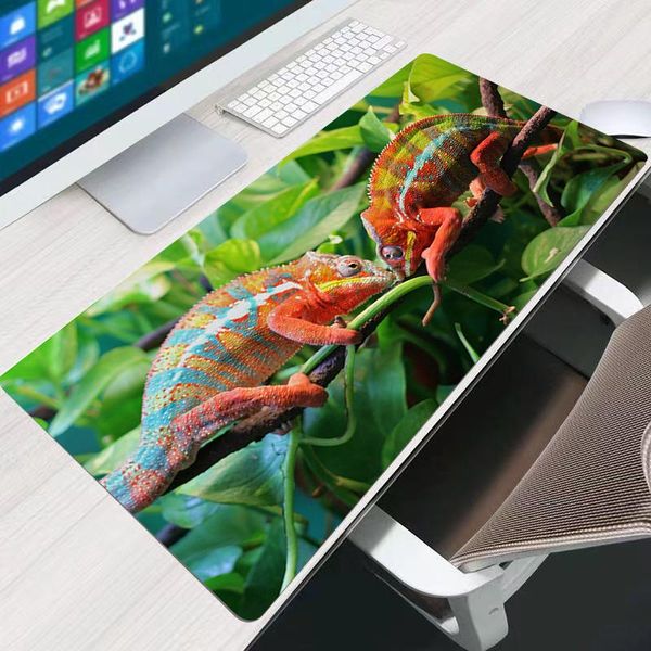 mouse pads & wrist rests chameleon diy large pad persian carpet lappc gamer keyboard mousepad edge white tassel rubber table mat for pet
mouse pads & wrist rests chameleon diy large pad persian carpet lappc gamer keyboard mousepad edge white tassel rubber table mat for pet