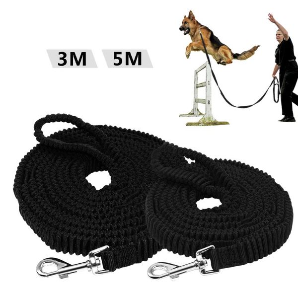 nylon dog tracking lead elastic pet long leash non-slip strap bungee leashes with handle for large dogs training walking 3m 5m collars &
nylon dog tracking lead elastic pet long leash non-slip strap bungee leashes with handle for large dogs training walking 3m 5m collars &
