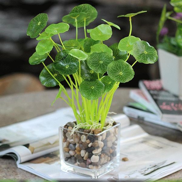 branches green lotus leaf imitation fern plastic artificial grass leaves plant for home wedding decoration arrangement decorative flowers &
branches green lotus leaf imitation fern plastic artificial grass leaves plant for home wedding decoration arrangement decorative flowers &