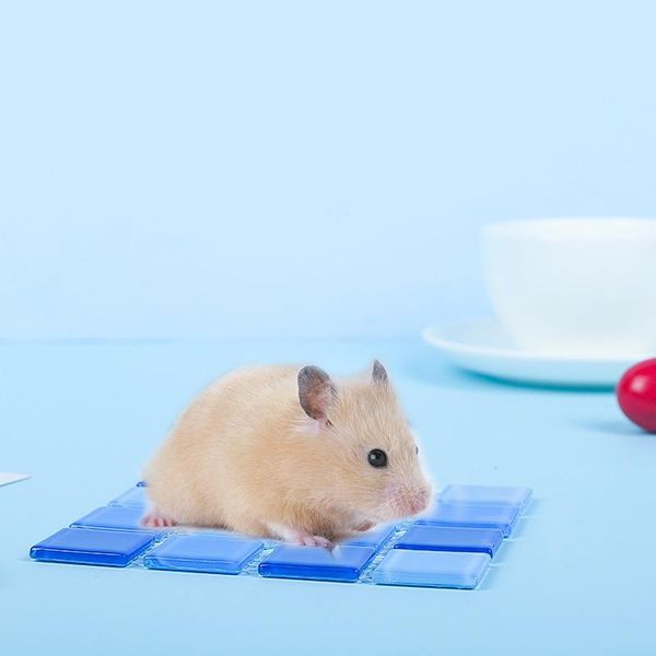 cat beds & furniture glass stone hamster cooling pad summer rat mouse guinea pig hedgehog squirrel ice bed sleeping mat
cat beds & furniture glass stone hamster cooling pad summer rat mouse guinea pig hedgehog squirrel ice bed sleeping mat