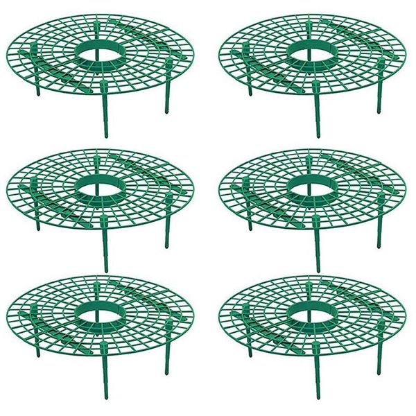 other garden supplies 6pcs plant plastic tool strawberry growing circle support rack farming frame gardening vine
other garden supplies 6pcs plant plastic tool strawberry growing circle support rack farming frame gardening vine