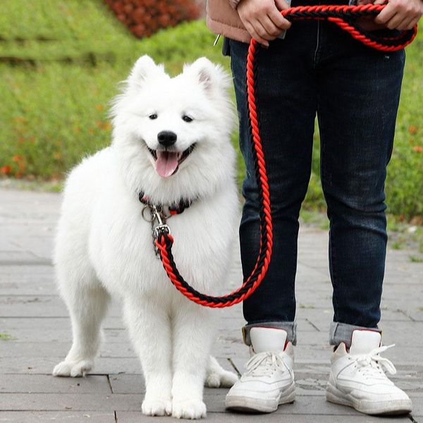 dog collars & leashes leash running walk train for large small cat pets dogs rope nylon tenacity 4 colors 3 sizes
dog collars & leashes leash running walk train for large small cat pets dogs rope nylon tenacity 4 colors 3 sizes