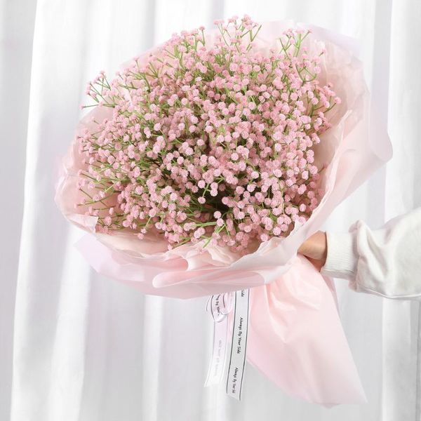 decorative flowers & wreaths 10pcs/lot babysbreath wedding bridal bouquet mariage diy scrapbook flores artificiales house decor supplies fak
decorative flowers & wreaths 10pcs/lot babysbreath wedding bridal bouquet mariage diy scrapbook flores artificiales house decor supplies fak