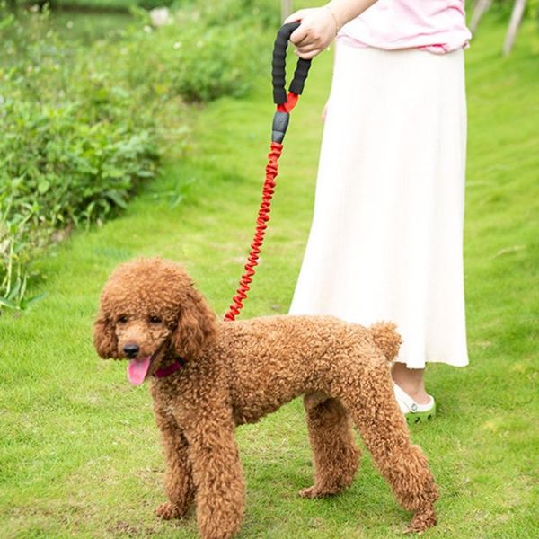 reflective elastic retractable dog leash nylon extendable bungee strap fold rope leads night vision walking for medium large pet collars & l
reflective elastic retractable dog leash nylon extendable bungee strap fold rope leads night vision walking for medium large pet collars & l