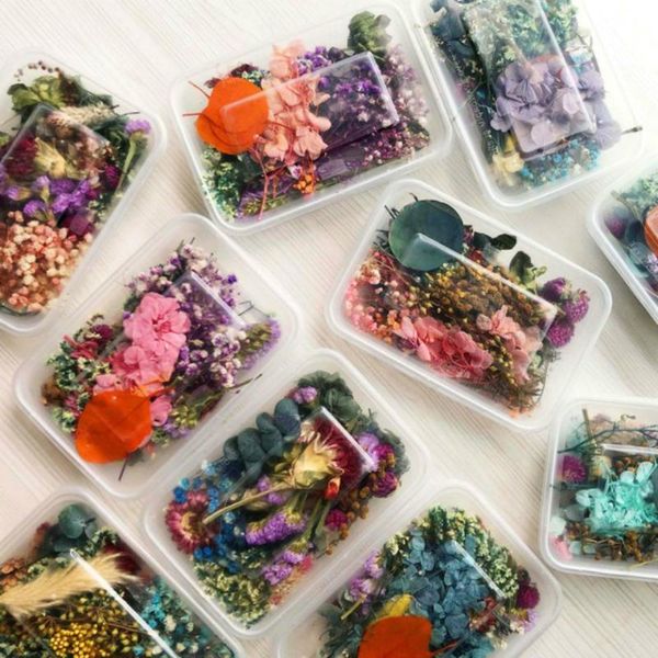 decorative flowers & wreaths 1 box real dried flower dry plants for candle epoxy resin pendant necklace jewelry making craft di
decorative flowers & wreaths 1 box real dried flower dry plants for candle epoxy resin pendant necklace jewelry making craft di