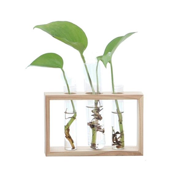 vases glass flower vase tube bottle hydroponic container bedroom living room home decor with holder
vases glass flower vase tube bottle hydroponic container bedroom living room home decor with holder