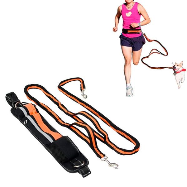 dog collars & leashes pet running leash for dogs hand y adjustable waist rope elastic bungee jogging lead products
dog collars & leashes pet running leash for dogs hand y adjustable waist rope elastic bungee jogging lead products