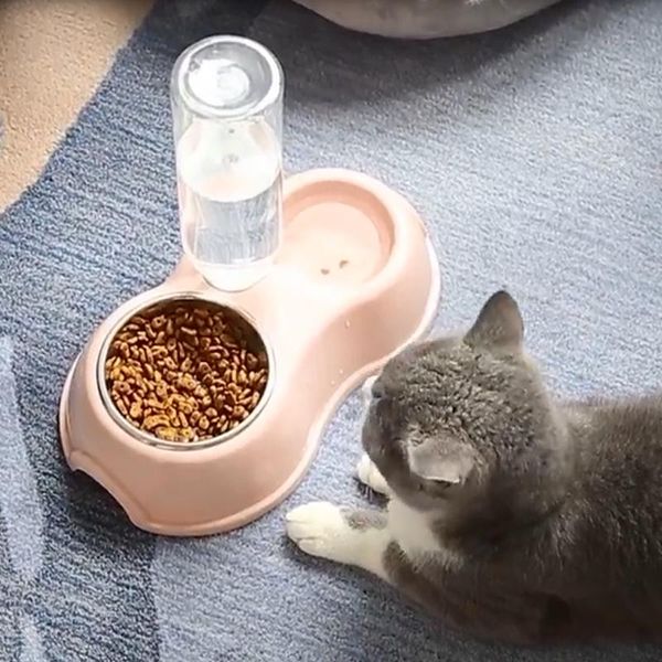 feeder for cats and dogs automatic drinker water fountain double bowl plastic storage container small pet accessories suit cat bowls & feede
feeder for cats and dogs automatic drinker water fountain double bowl plastic storage container small pet accessories suit cat bowls & feede