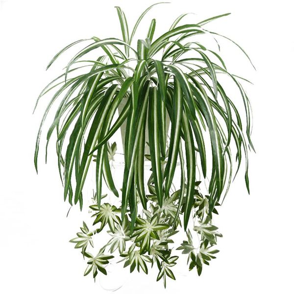 decorative flowers & wreaths home artificial flower orchids plant chlorophytum silk wall mount simulation rattan decoration
decorative flowers & wreaths home artificial flower orchids plant chlorophytum silk wall mount simulation rattan decoration