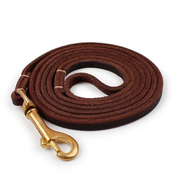 lightweight real leather dog leash for small and medium dogs soft & duty genuine with copper hook pet leads collars leashes
lightweight real leather dog leash for small and medium dogs soft & duty genuine with copper hook pet leads collars leashes