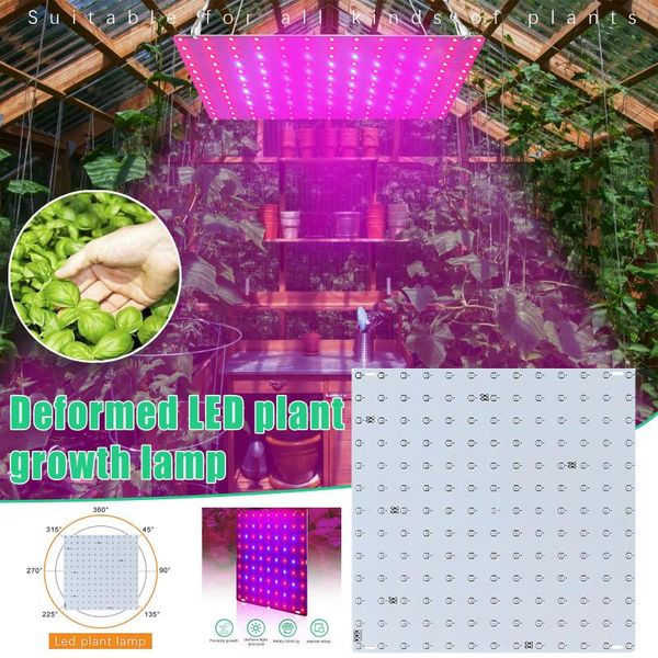 grow lights led red and blue flower succulent indoor plant growth supplement light veg seedling fitolampy
grow lights led red and blue flower succulent indoor plant growth supplement light veg seedling fitolampy