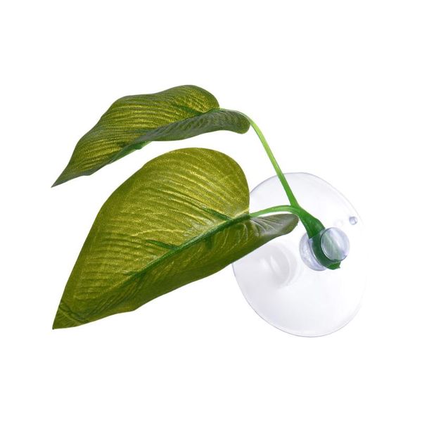 decorations artificial plant leaf betta hammock fish rest bed tropical saltwater aquariums supplies including 2 leaves
decorations artificial plant leaf betta hammock fish rest bed tropical saltwater aquariums supplies including 2 leaves