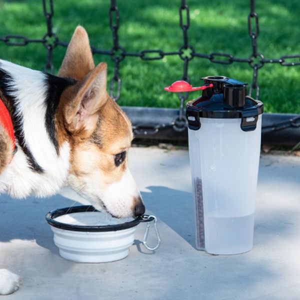 dog bowls & feeders portable feeder folding bowl drinking bottle set with hook outdoor travel large capacity water eating dish for pets
dog bowls & feeders portable feeder folding bowl drinking bottle set with hook outdoor travel large capacity water eating dish for pets