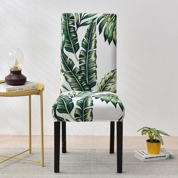 geometric dining chair cover spandex elastic slipcover case stretch covers for wedding el banquet room
geometric dining chair cover spandex elastic slipcover case stretch covers for wedding el banquet room