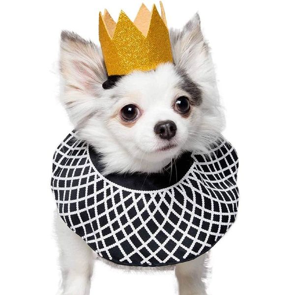the infamous dog costume sequined crown and dissent collar s code christmas party pets accessories collars & leashes
the infamous dog costume sequined crown and dissent collar s code christmas party pets accessories collars & leashes