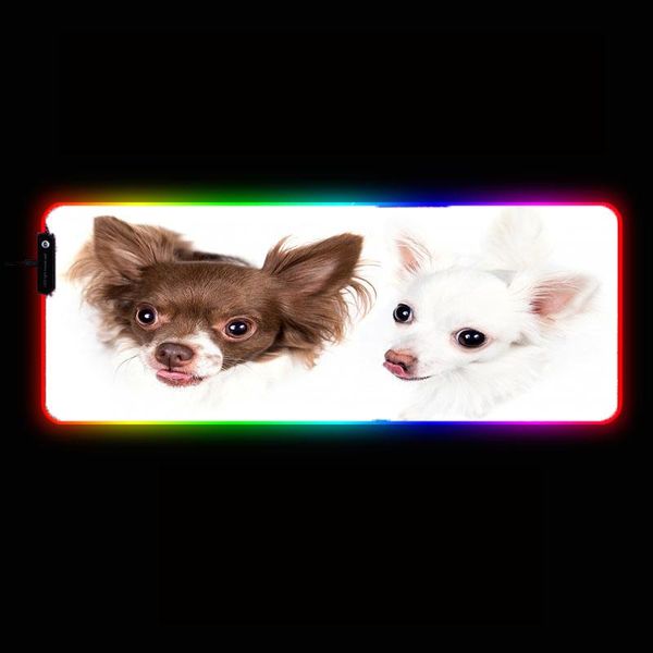 mouse pads & wrist rests mrg cute dog husky animal pad computer gamer mousepad large game no-slip mat anime big mause for pc laptop
mouse pads & wrist rests mrg cute dog husky animal pad computer gamer mousepad large game no-slip mat anime big mause for pc laptop