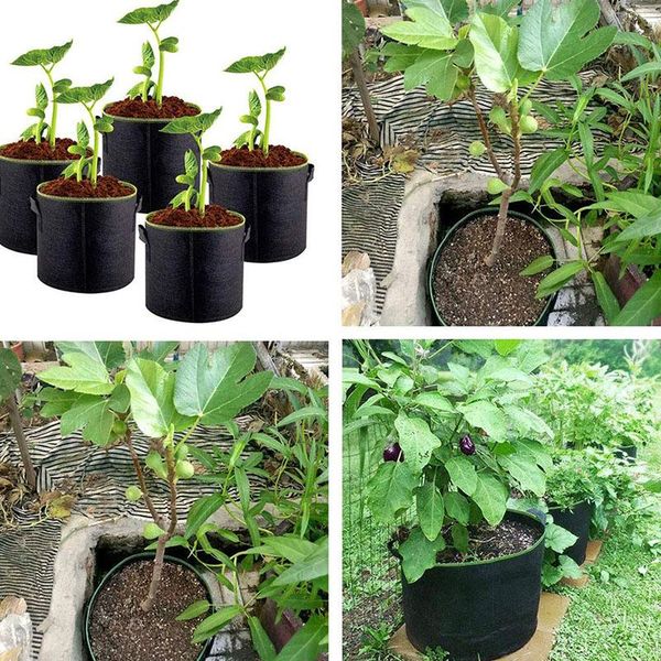 planters & pots plant grow bag pp non-woven fabric breathable& absorbent easy to loosen soil greenhouse pot home garden
planters & pots plant grow bag pp non-woven fabric breathable& absorbent easy to loosen soil greenhouse pot home garden