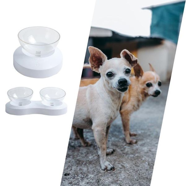 cat bowls & feeders bowl with stand transparent tilted raised pet feeding for and small dog non-slip plastic
cat bowls & feeders bowl with stand transparent tilted raised pet feeding for and small dog non-slip plastic
