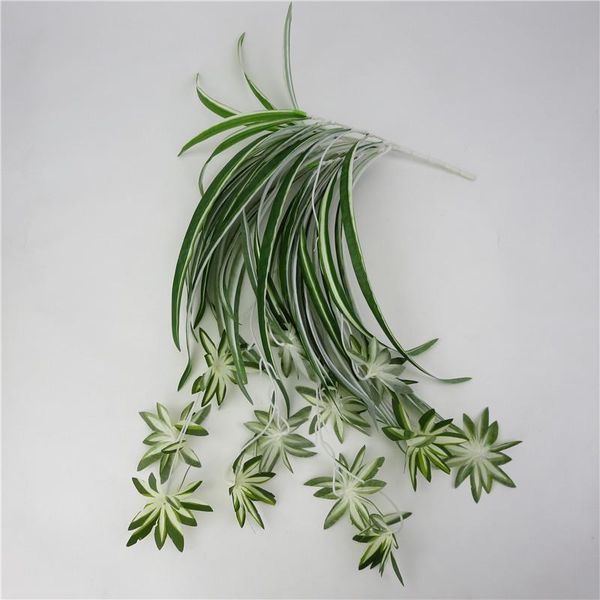 decorative flowers & wreaths no maintenance artificial chlorophytum silk wall mount simulation rattan decoration can withstand severe storms
decorative flowers & wreaths no maintenance artificial chlorophytum silk wall mount simulation rattan decoration can withstand severe storms