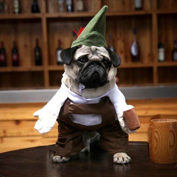 dog apparel halloween funny cat clothes costume beer waiter barman green hat holding glass suit clothing for pet cool
dog apparel halloween funny cat clothes costume beer waiter barman green hat holding glass suit clothing for pet cool
