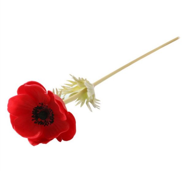 2021 modern anemone real touch artificial flower wedding bridal rose bouquet pgraphy props for garden ornament home decoration
2021 modern anemone real touch artificial flower wedding bridal rose bouquet pgraphy props for garden ornament home decoration