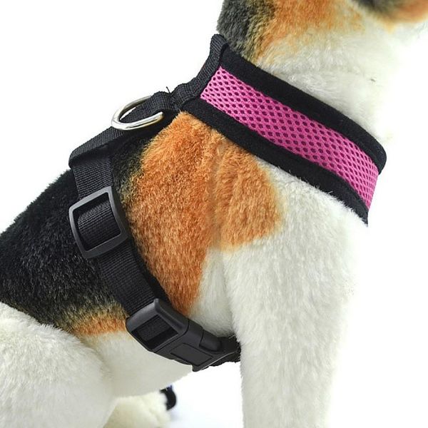 dog collars & leashes 2021 mesh pet chest back strap#1 summer home accessories wedding decor household products bedding
dog collars & leashes 2021 mesh pet chest back strap#1 summer home accessories wedding decor household products bedding