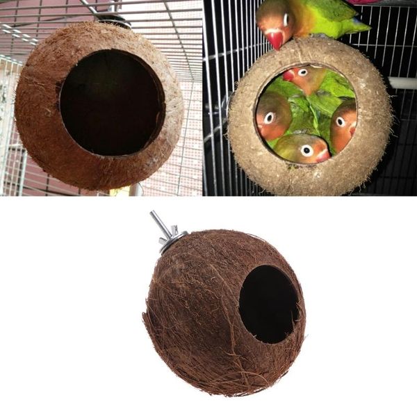 bird parrot finch nest natural coconut shell hanging chain cage toys swing house 090 cages
bird parrot finch nest natural coconut shell hanging chain cage toys swing house 090 cages