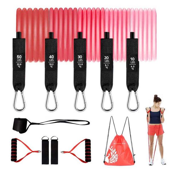 resistance bands livefit set, exercise with handles, door anchor, portable bag, legs ankle straps, home workouts
resistance bands livefit set, exercise with handles, door anchor, portable bag, legs ankle straps, home workouts