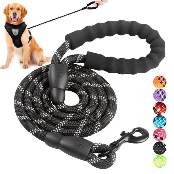pet leash reflective strong dog 1.5m long with comfortable padded handle heavy duty training durable nylon rope leashes collars &
pet leash reflective strong dog 1.5m long with comfortable padded handle heavy duty training durable nylon rope leashes collars &