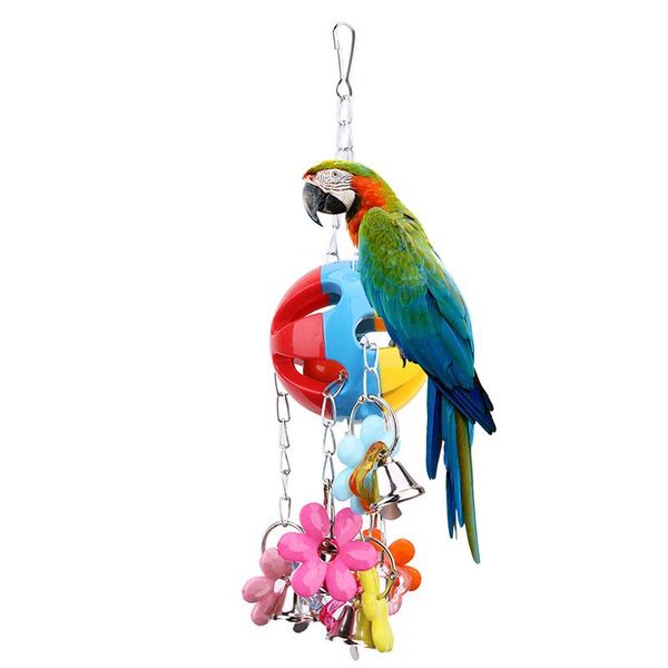 other bird supplies parrot swing climbing toy colorful cage hanging with bells interactive accessries biting toys
other bird supplies parrot swing climbing toy colorful cage hanging with bells interactive accessries biting toys