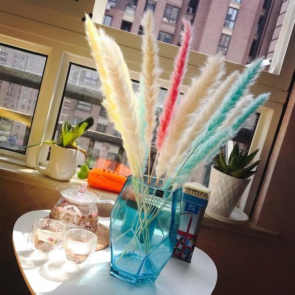 decorative flowers & wreaths 7pcs bulrush natural dried small pampas grass phragmites artificial plants wedding flower bunch for home decor
decorative flowers & wreaths 7pcs bulrush natural dried small pampas grass phragmites artificial plants wedding flower bunch for home decor