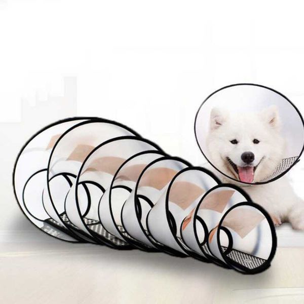 elizabeth ring cat collar neck cover anti-bite and anti-lick products collars & leads
elizabeth ring cat collar neck cover anti-bite and anti-lick products collars & leads