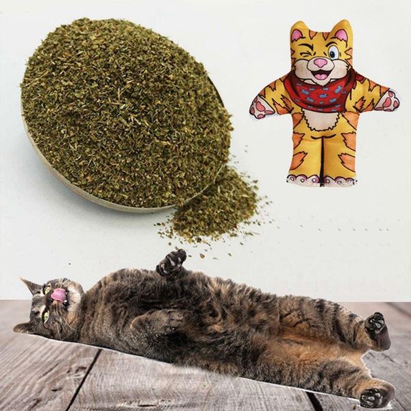 cat toys interactive doll toy pet kitten grinding thumb bite mint chewing catnip for cats teeth
cat toys interactive doll toy pet kitten grinding thumb bite mint chewing catnip for cats teeth