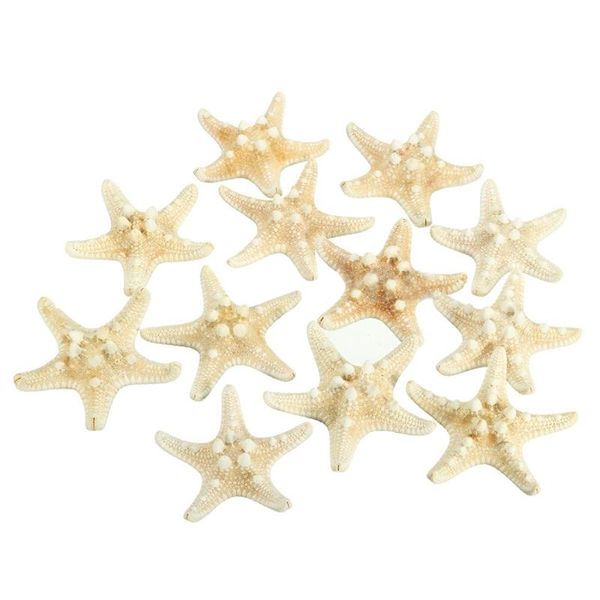 decorative objects & figurines 12 x white knobby starfish 5cm -7cm sea star shell beach wedding display craft decor
decorative objects & figurines 12 x white knobby starfish 5cm -7cm sea star shell beach wedding display craft decor
